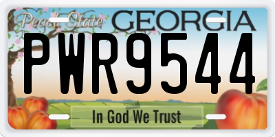 GA license plate PWR9544