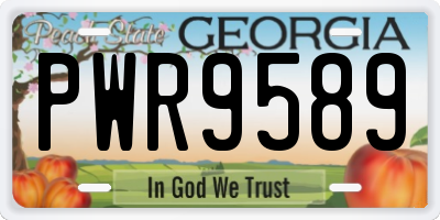 GA license plate PWR9589