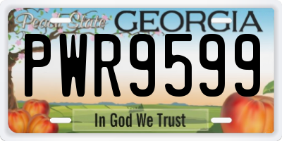GA license plate PWR9599