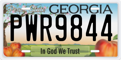 GA license plate PWR9844