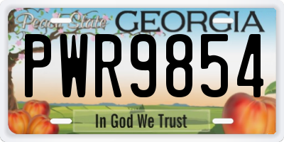 GA license plate PWR9854