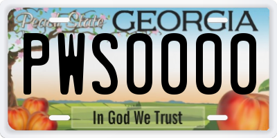 GA license plate PWS0000