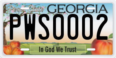 GA license plate PWS0002