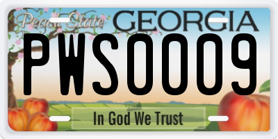 GA license plate PWS0009