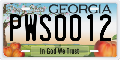 GA license plate PWS0012