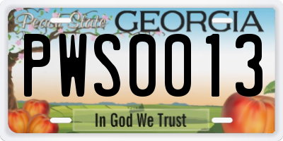 GA license plate PWS0013