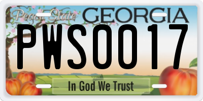 GA license plate PWS0017