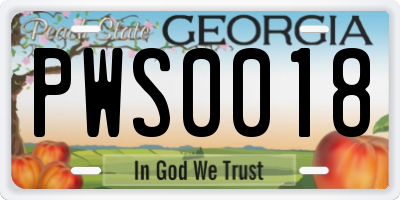 GA license plate PWS0018