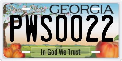 GA license plate PWS0022