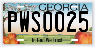 GA license plate PWS0025