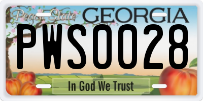 GA license plate PWS0028