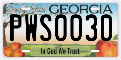 GA license plate PWS0030