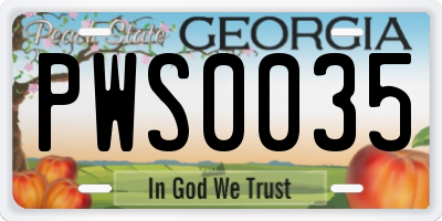 GA license plate PWS0035