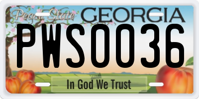 GA license plate PWS0036