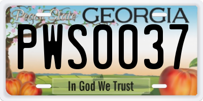 GA license plate PWS0037