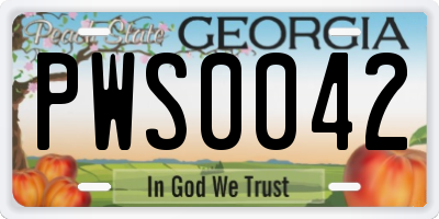 GA license plate PWS0042