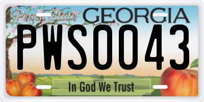 GA license plate PWS0043