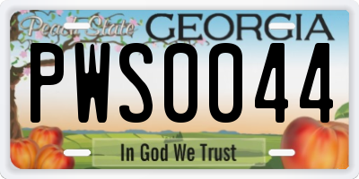 GA license plate PWS0044