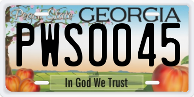 GA license plate PWS0045