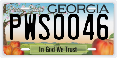 GA license plate PWS0046