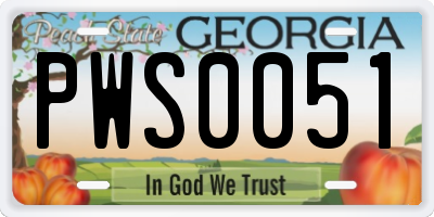 GA license plate PWS0051