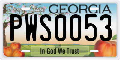 GA license plate PWS0053