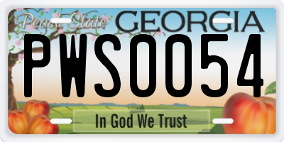 GA license plate PWS0054