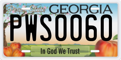 GA license plate PWS0060