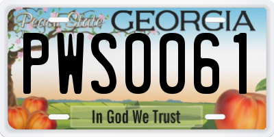 GA license plate PWS0061