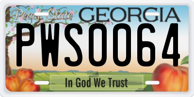 GA license plate PWS0064