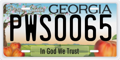 GA license plate PWS0065