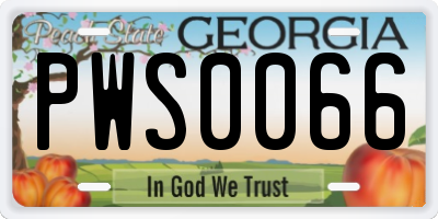 GA license plate PWS0066