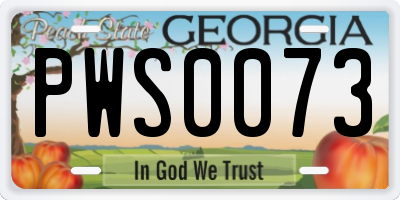 GA license plate PWS0073