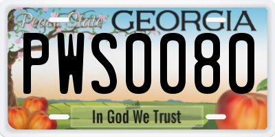 GA license plate PWS0080