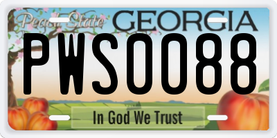 GA license plate PWS0088