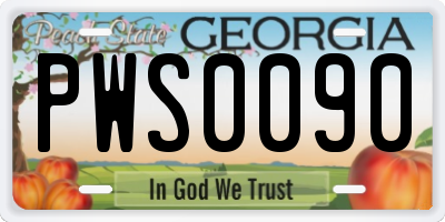 GA license plate PWS0090