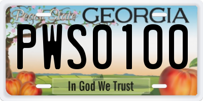 GA license plate PWS0100