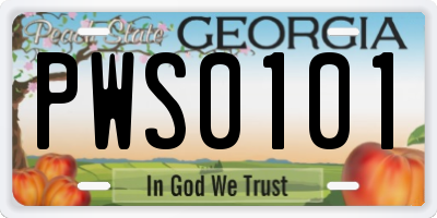 GA license plate PWS0101