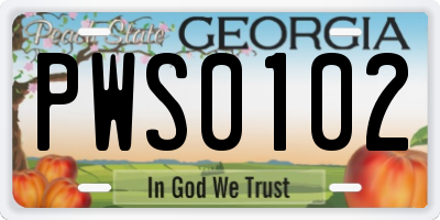 GA license plate PWS0102