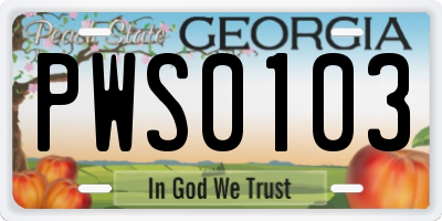 GA license plate PWS0103
