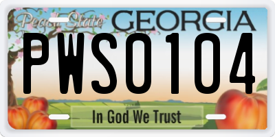 GA license plate PWS0104
