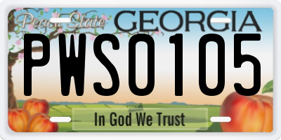GA license plate PWS0105