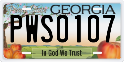 GA license plate PWS0107