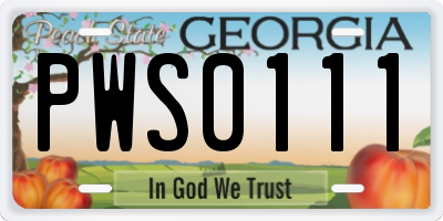 GA license plate PWS0111