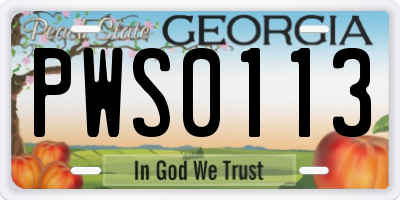 GA license plate PWS0113