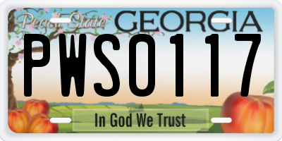 GA license plate PWS0117
