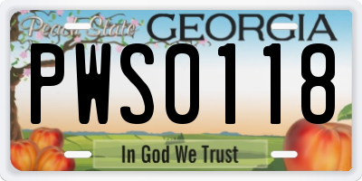 GA license plate PWS0118