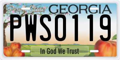 GA license plate PWS0119