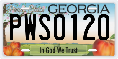 GA license plate PWS0120