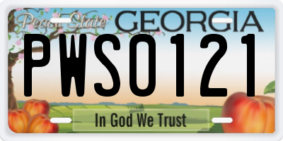 GA license plate PWS0121